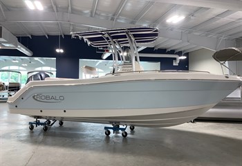 2023 Robalo R222 Ice Blue/White Boat